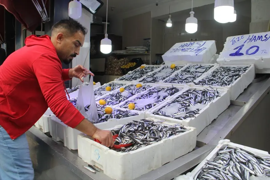 Hamsininkilosu 10 liraya düştü 