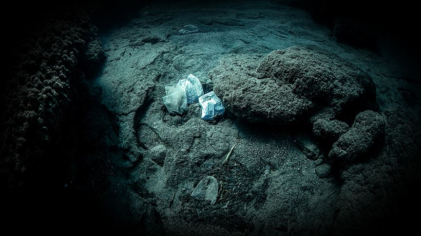 Mariana Çukuru'nda bile var! Okyanusun her katmanında mikroplastik izi