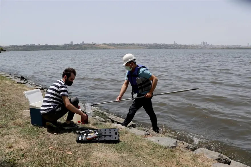 Küçükçekmece Gölü'nde balık ölümleri giderek artıyor 8