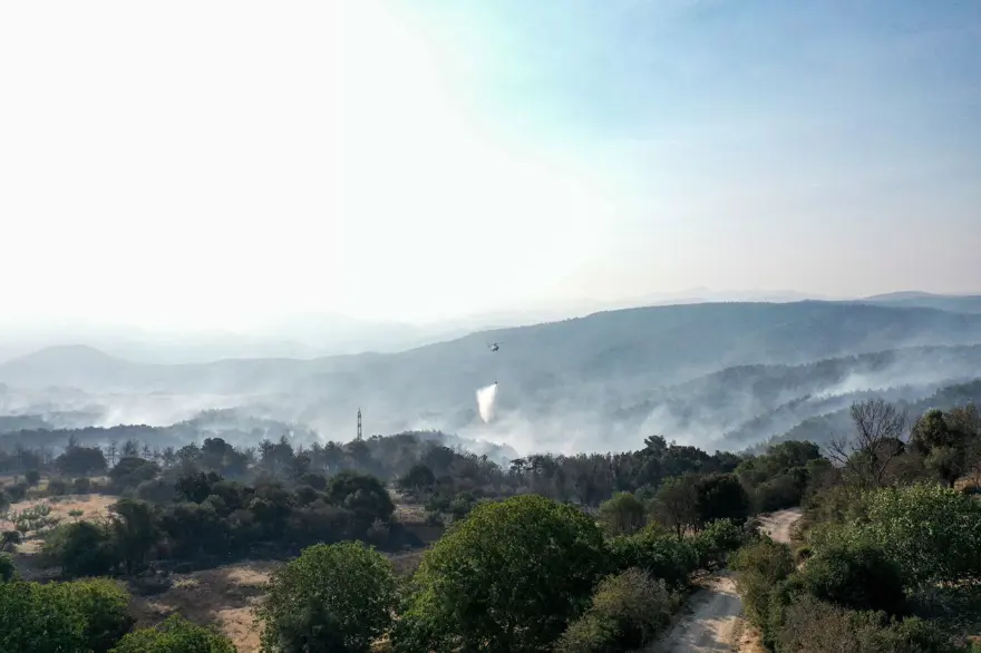 Çanakkale'de orman yangını kontrol altında 64
