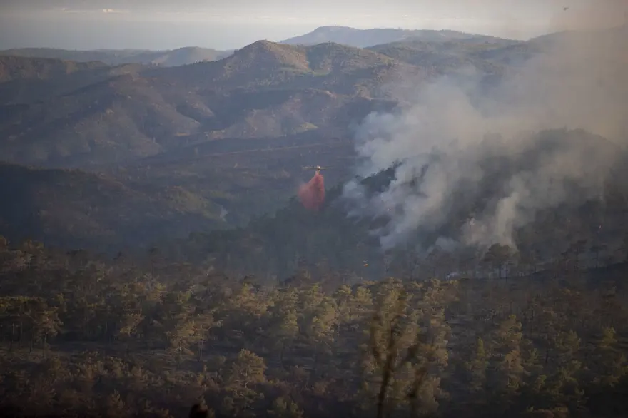 ''4 BİN HEKTARLIK ALAN ZARAR GÖRDÜ'' 6