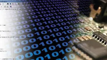 Onların sınırsız iş imkanı var