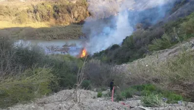 Hatay'da sazlık alanında yangın