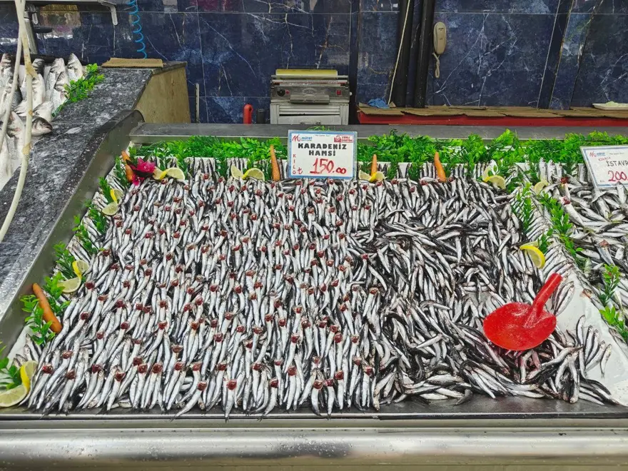 Tezgahlar şenlendi: 30'dan fazla çeşit balık var 2 Tezgahlar şenlendi: 30'dan fazla çeşit balık var 2