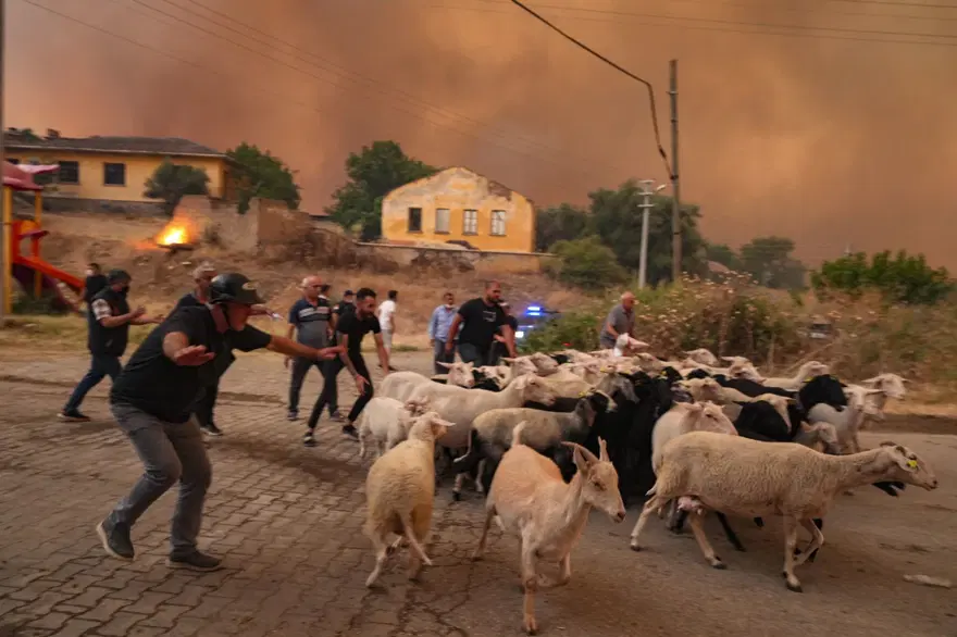 Ödemiş'te kahreden fotoğraflar: Alevlerden kaçış 3 Ödemiş'te kahreden fotoğraflar: Alevlerden kaçış 3
