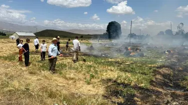 Hakkari'de yaklaşık bin 500 bağ ot kül oldu