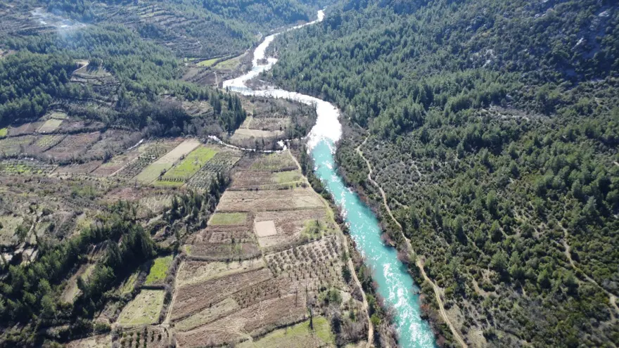 3 yılda 1 hasadı yapılıyor, 80 ailenin gelir kapısı: Toroslar'dan Avrupa'ya uzanıyor 8