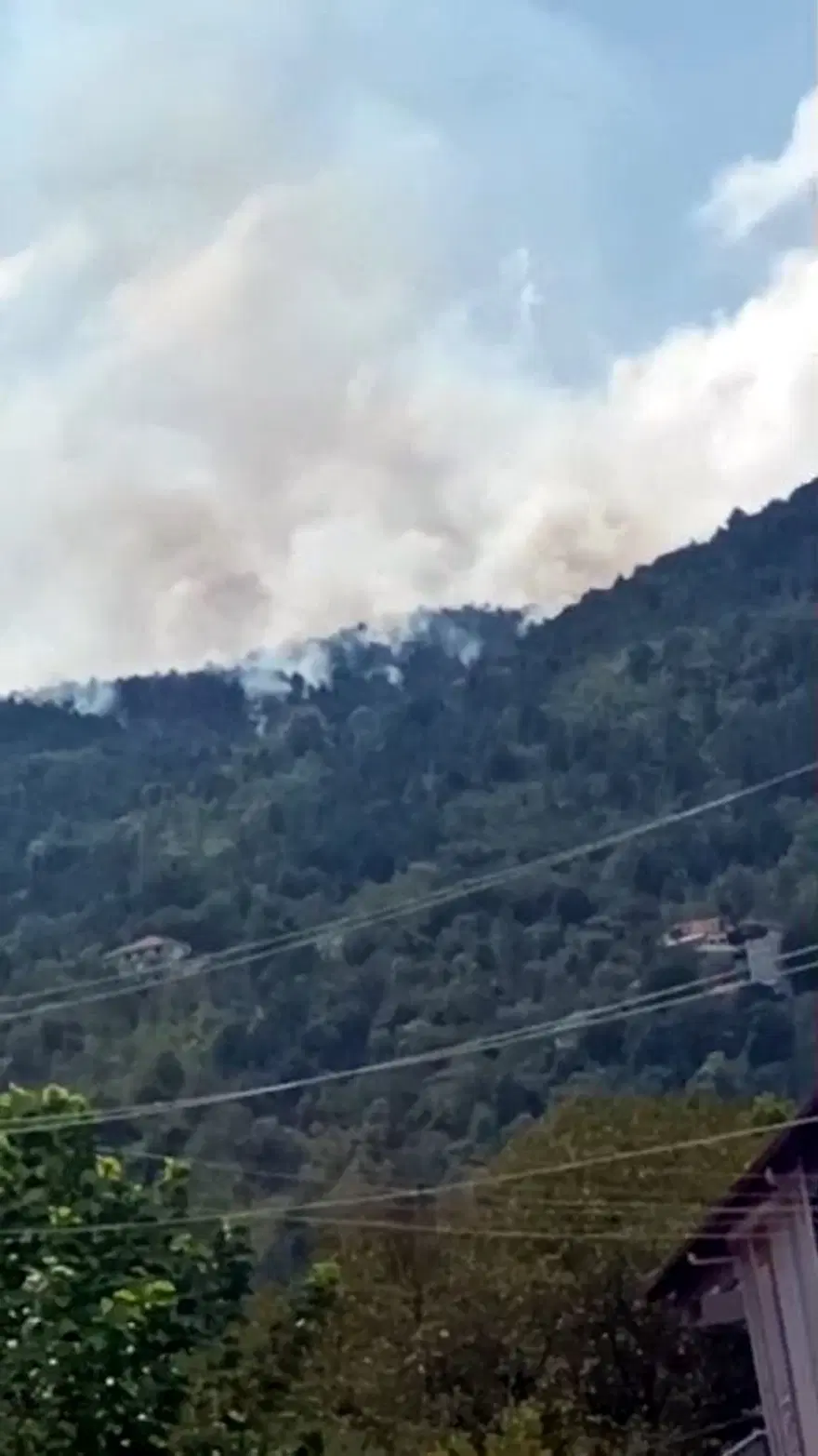 Zonguldak Devrek’teorman yangını 3 Zonguldak Devrek’teorman yangını 3
