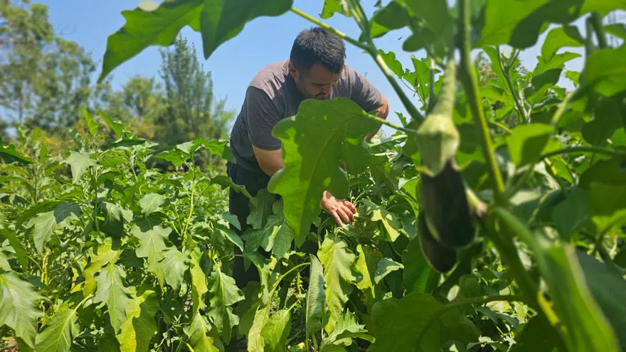 Baba mesleğini bıraktı: 25 yıldır toprağa emek veriyor 