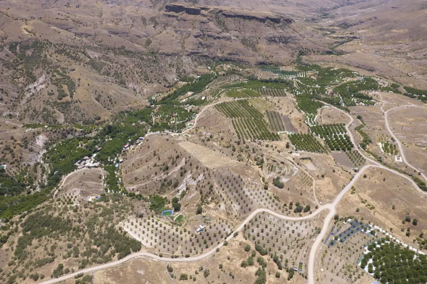 ÜRÜNLER GÜNEŞİN KARŞISINDA KURTULUYOR 5