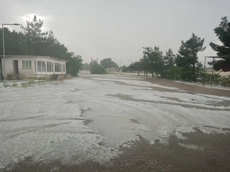 Dolu yağışı ekili arazileri beyaz örtüyle kapladı 3 Dolu yağışı ekili arazileri beyaz örtüyle kapladı 3