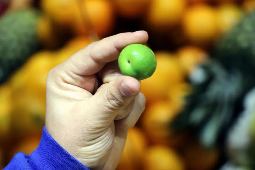 Kilosu 3 bin tanesi 53 lira | Yaz meyvesi kışın el yakıyor 8