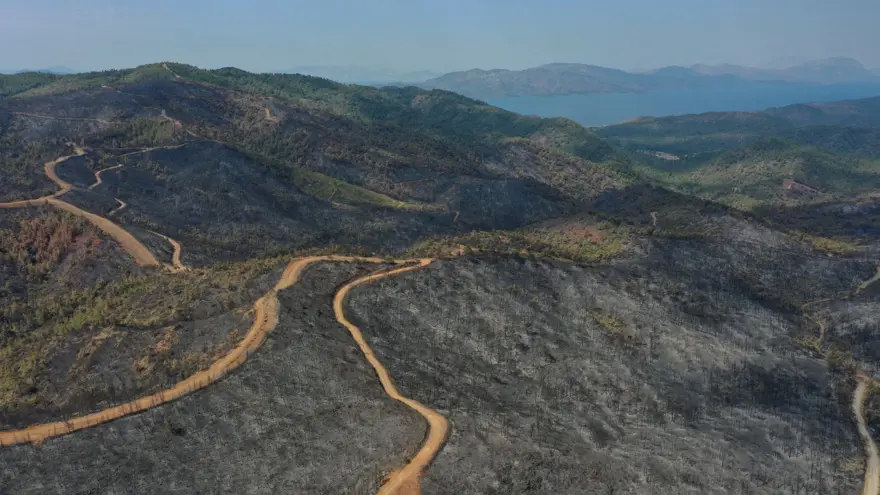 Marmaris'te yanan ormanlık alanda soğutma çalışmaları sürüyor 4