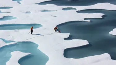 ‘Arktik’te erime rekor seviyede’