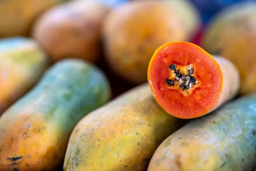 PAPAYA VE BAL 6