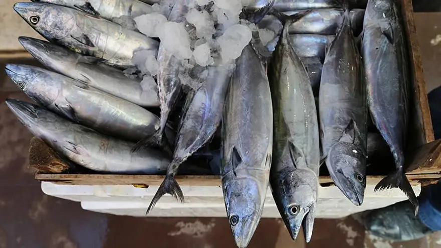 "ŞU AN KARADENİZ'DE YOĞUNLAŞTI" 4