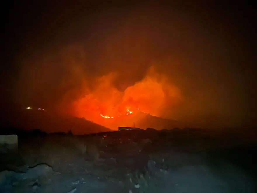 Marmara Adası'nda makilik yangını 3