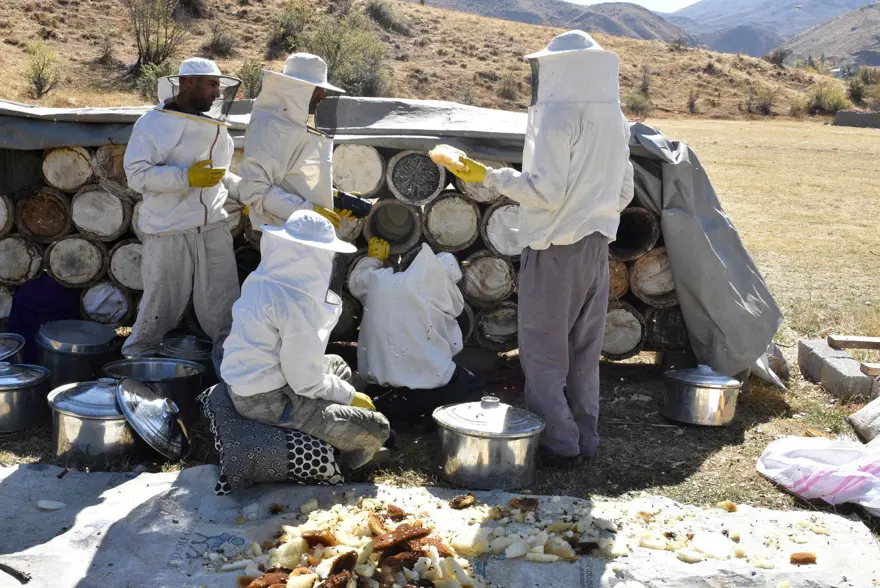 Yaylalarda üretilen karakovan balının hasadına başlandı 3