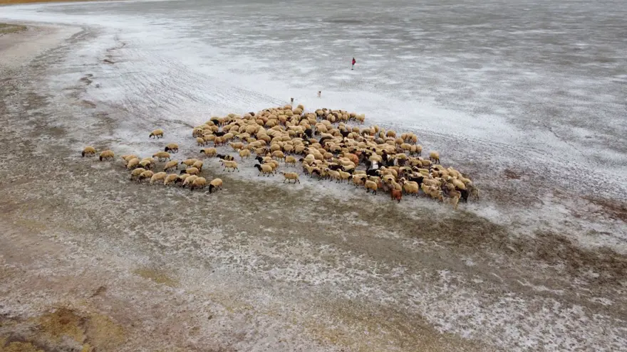 Van'daki Tuz Gölü kuraklık ve aşırı buharlaşma nedeniyle yeniden kurudu 11
