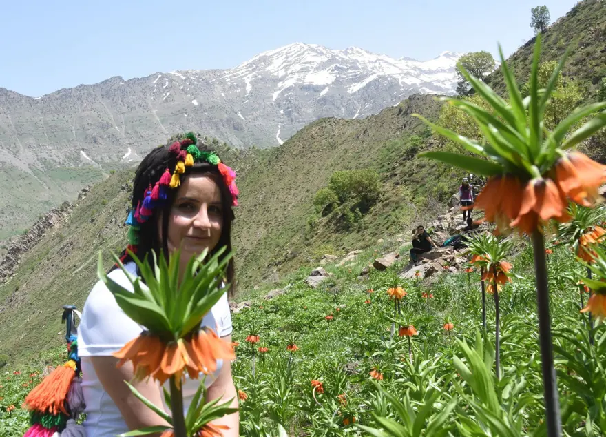 Hakkari dağlarında 'ters lale' buluşması 16