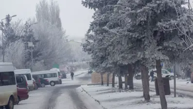 Ardahan'da eksi 25 derece görüldü