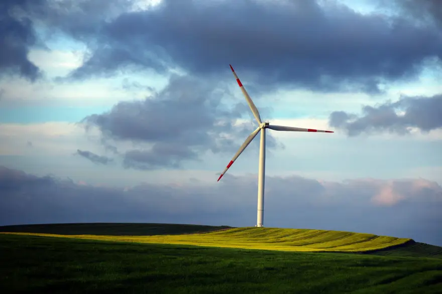 “Haydi! Yeşil Gelecekler” fotoğraf yarışmasının ödülleri açıklandı 16 “Haydi! Yeşil Gelecekler” fotoğraf yarışmasının ödülleri açıklandı 16