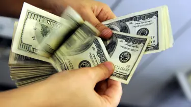 Fed doları frenledi