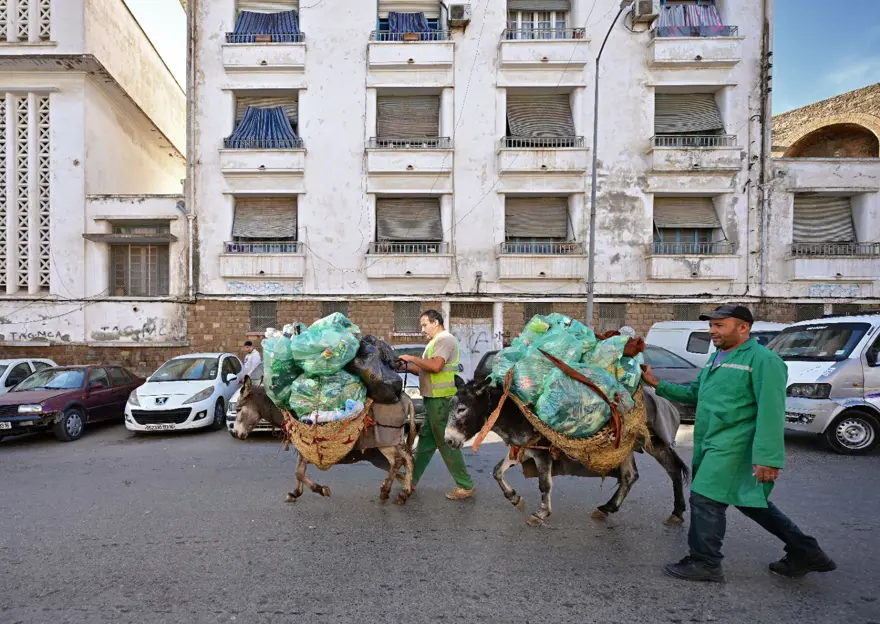 Tarih kokan Akdeniz şehri: Cezayir 3