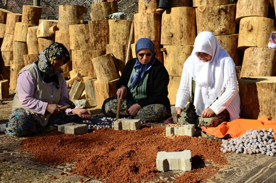Toroslardan toplanıyor, sadece pekmez olarak tüketiliyor 15