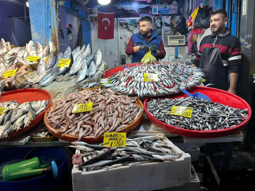 "DENİZDE İNANILMAZ DERECEDE BALIK VAR" 2 "DENİZDE İNANILMAZ DERECEDE BALIK VAR" 2