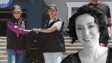 Beşiktaş'ta vahşet evi: Matematik mühendisi, karakola gidip kendini ihbar etti