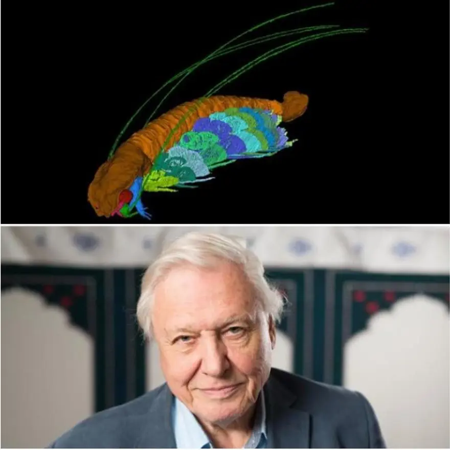 Ünlülerin adı verilen yeni türler 8 Ünlülerin adı verilen yeni türler 8