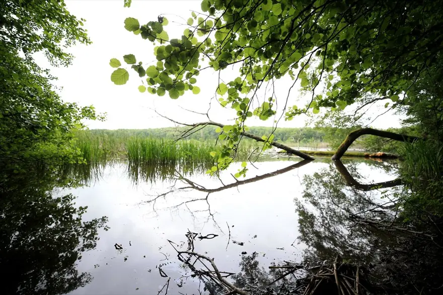 Trakya'nın saklı cenneti 'İğneada' ziyaretçilerini bekliyor: Üstelik İstanbul'a 3 saat uzaklıkta 8