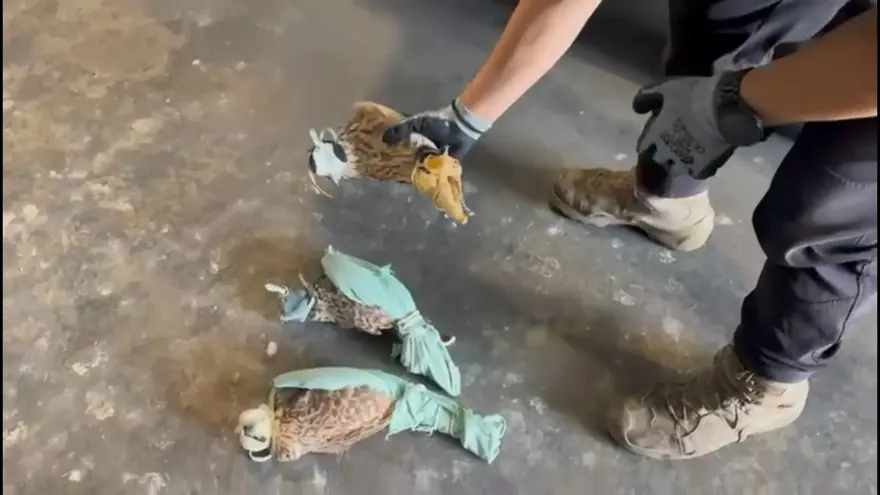 Sınırda operasyon: Yolcu koltuğunun altında bulundular 1