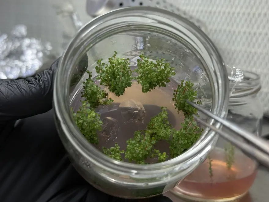 5 yıl önce kuruldu, 200 bin üretiliyor: En sağlıklısı yetiştiriliyor 5