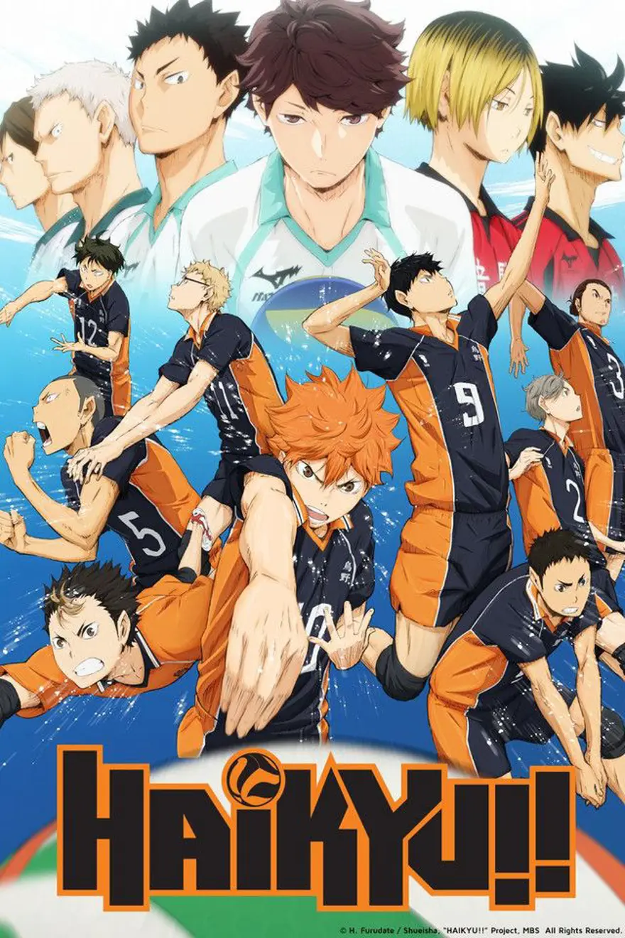 Haikyuu!! 13 Haikyuu!! 13