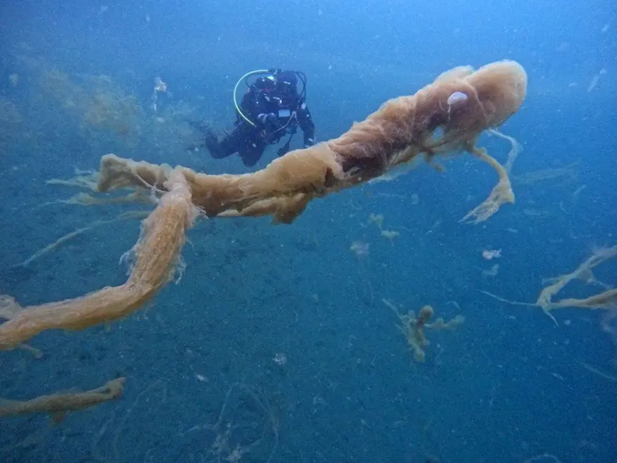 GÖLCÜK’TEKİ GÖRÜNTÜLER ENDİŞE YARATMIŞTI 4