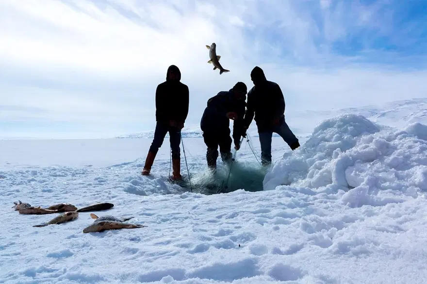 Donan Çıldır Gölü'nde Eskimo usulü balık avı 1