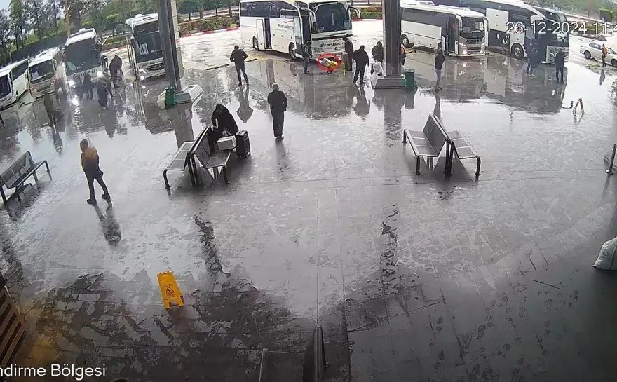 Otogarda şoke eden olay: Kutunun içinden yasaklı maymun çıktı 