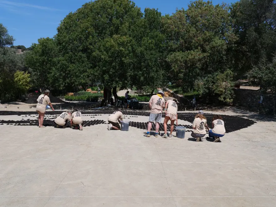 Aşık Veysel'in vefatının 50. yılında Bodrum'da dev portresi yapıldı 9