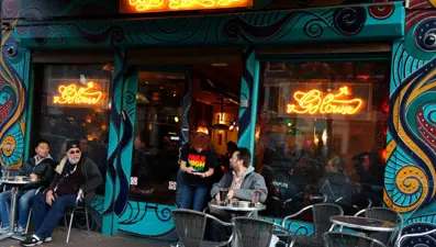 Hollanda'daki kahve dükkanlarında satılan kenevirde bakteri ve pestisit bulundu