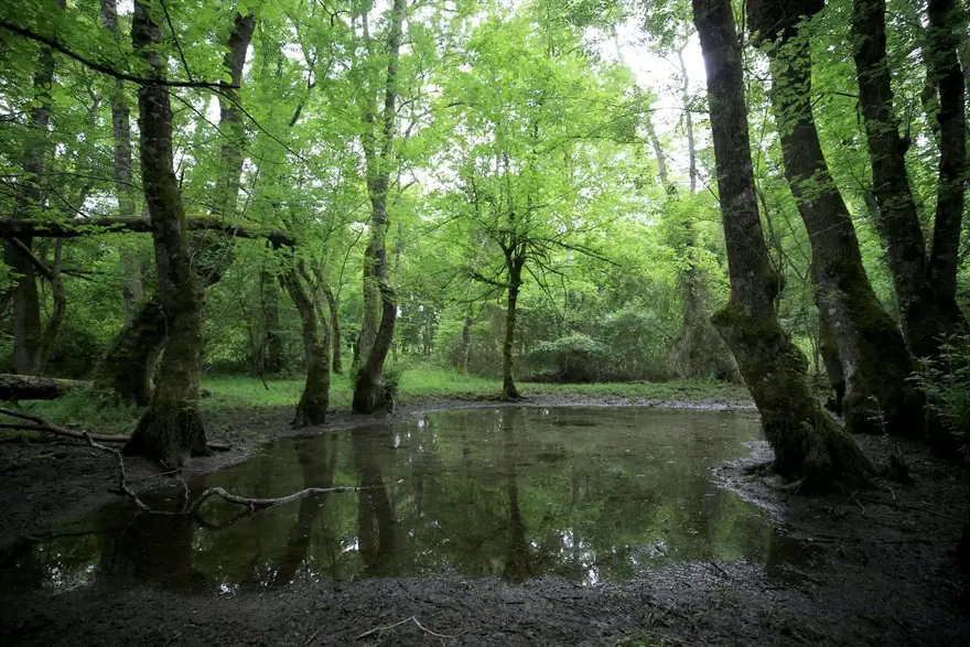 Trakya'nın saklı cenneti 'İğneada' ziyaretçilerini bekliyor: Üstelik İstanbul'a 3 saat uzaklıkta 1