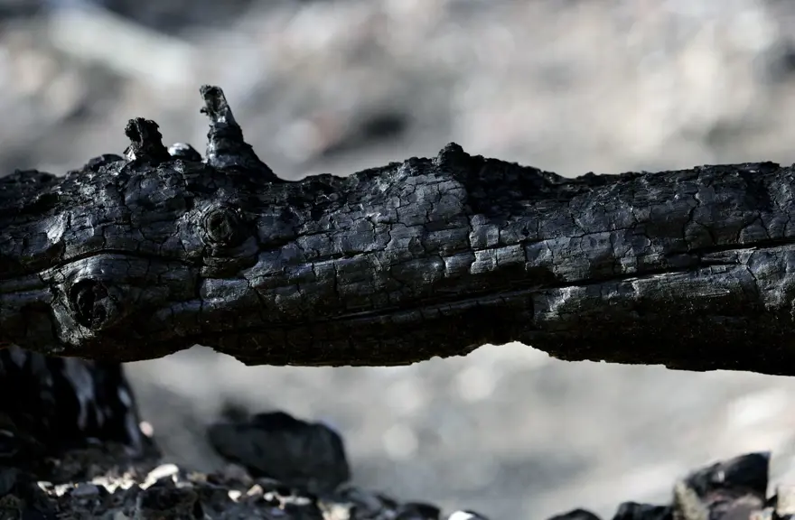 İspanya'daki orman yangınları üç haftadır devam ediyor: 20 bin hektar kül oldu 8