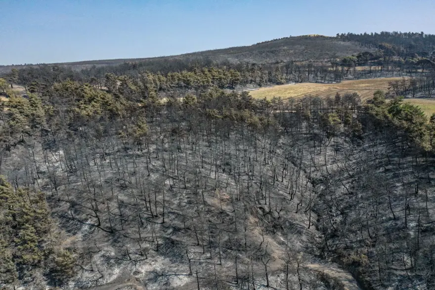 Çanakkale'de orman yangını kontrol altında 21