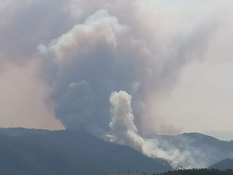 Çorum’da orman yangını