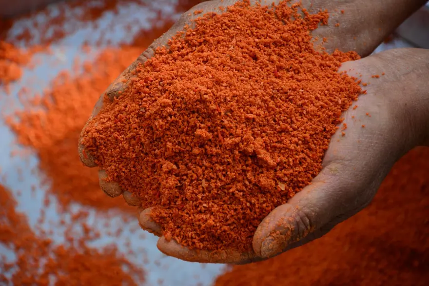 16 çeşit malzemeden yapılıyor, 16 gün yoğuruluyor: "Bunu içen grip olmaz" 16 çeşit malzemeden yapılıyor, 16 gün yoğuruluyor: "Bunu içen grip olmaz"