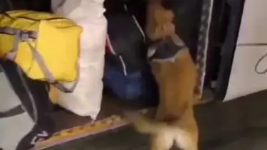 Malatya’da 29 kilo 860 gram sentetik uyuşturucu ele geçirildi