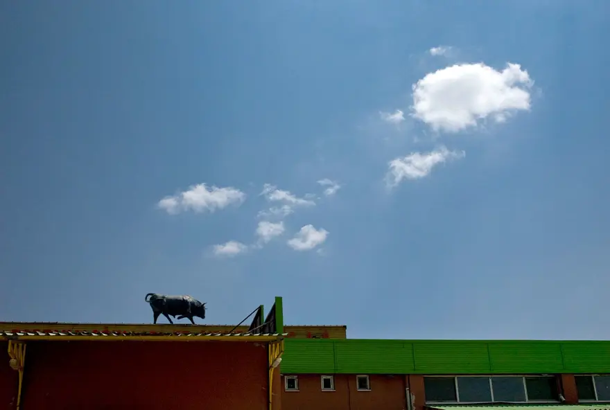 Türkiye’nin ilk sanal fotoğraf festivali başladı 5