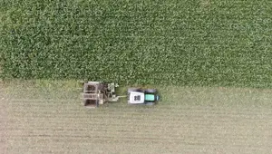 200 dekar alanda üretimi yapılıyor: 5 ton elde edildi