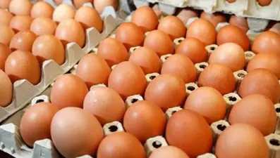 "Yumurta aklandı" denmişti ama yeni araştırmaya göre sarısı zararlı!